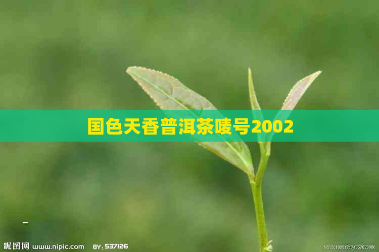 国色天香普洱茶唛号2002