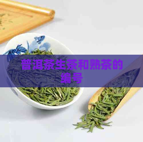 普洱茶生茶和熟茶的编号