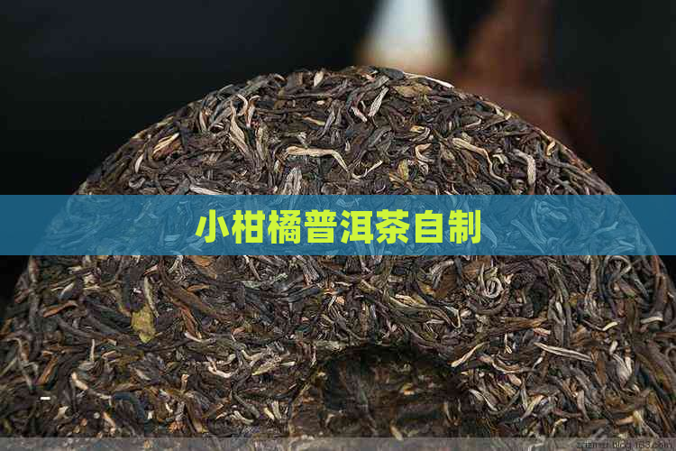 小柑橘普洱茶自制