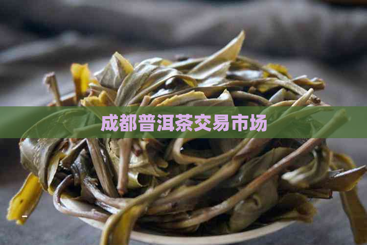 成都普洱茶交易市场