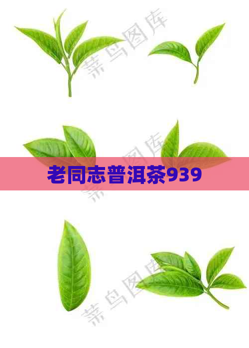 老同志普洱茶939