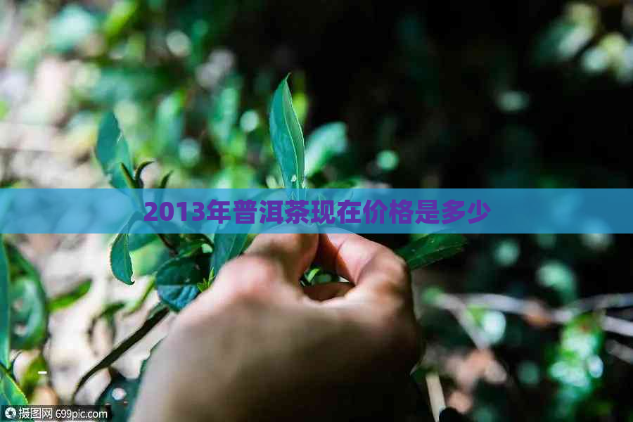 2013年普洱茶现在价格是多少