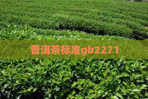 普洱茶标准gb2271