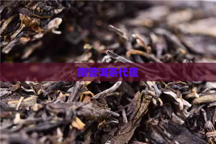 南普洱茶代理