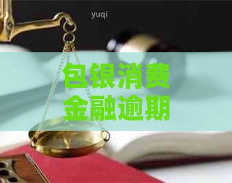 包银消费金融逾期上门流程详解