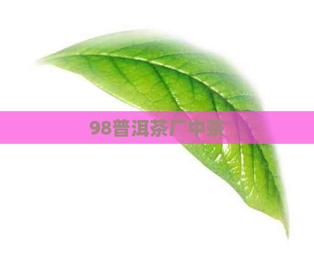 98普洱茶厂中茶