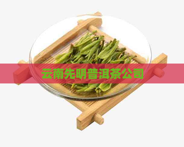 云南先明普洱茶公司