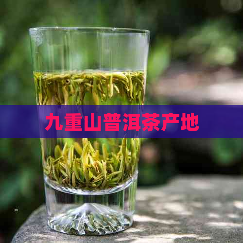 九重山普洱茶产地