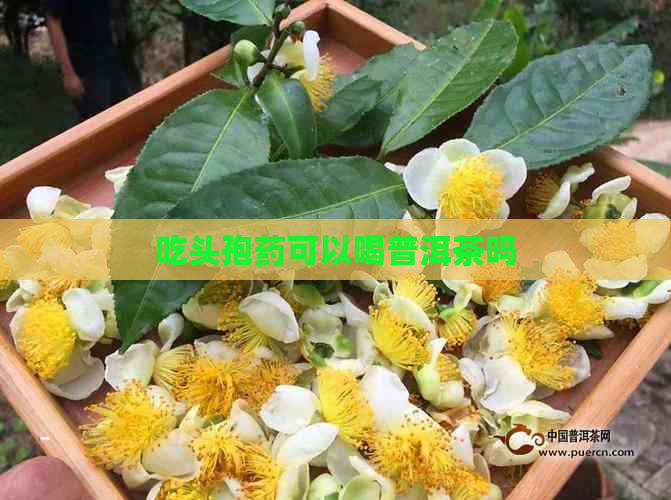 吃头孢药可以喝普洱茶吗