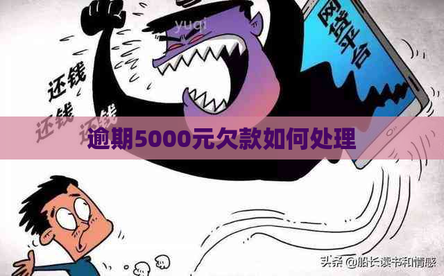 逾期5000元欠款如何处理