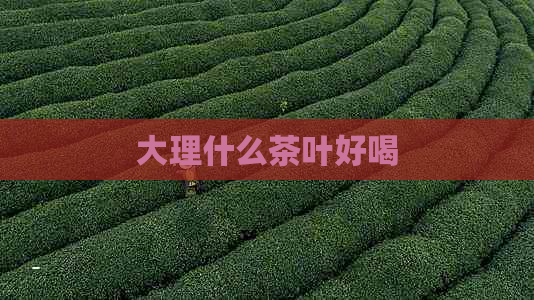 大理什么茶叶好喝