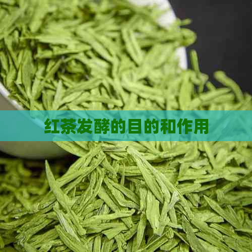 红茶发酵的目的和作用