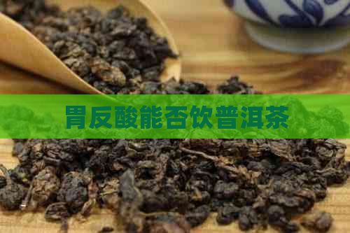 胃反酸能否饮普洱茶