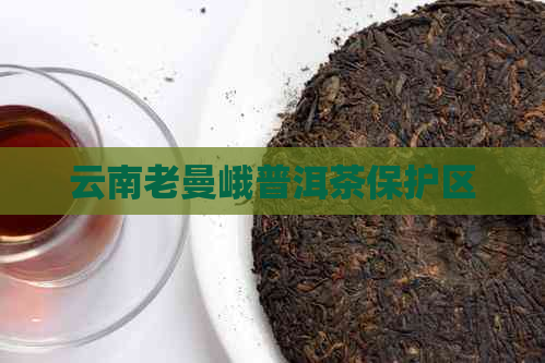 云南老曼峨普洱茶保护区