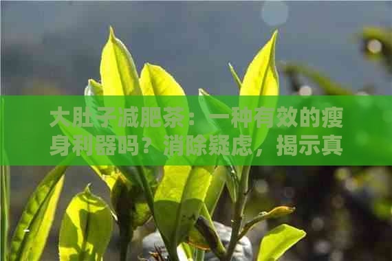 大肚子减肥茶：一种有效的瘦身利器吗？消除疑虑，揭示真相！