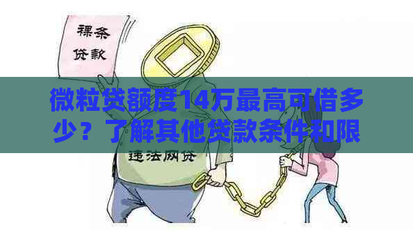 微粒贷额度14万更高可借多少？了解其他贷款条件和限制以确保借款选择