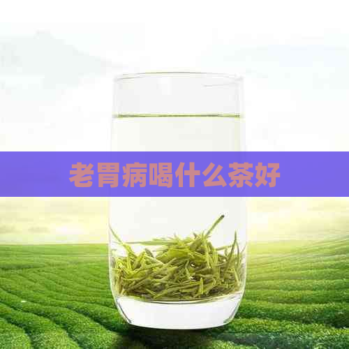 老胃病喝什么茶好