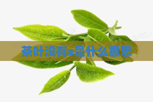 茶叶没有s是什么意思