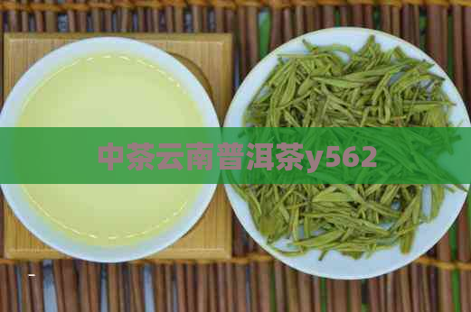 中茶云南普洱茶y562