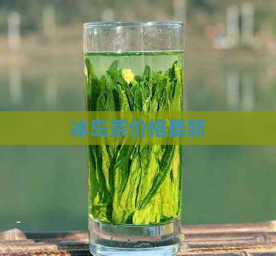 冰岛茶价格最新