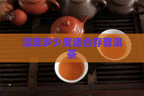 湿度多少度适合存普洱茶