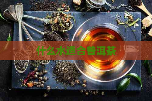 什么水适合普洱茶