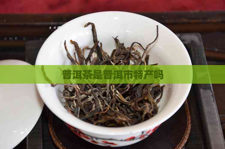 普洱茶是普洱市特产吗