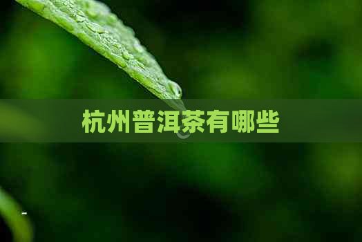 杭州普洱茶有哪些