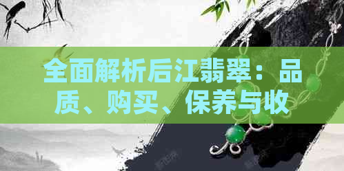 全面解析后江翡翠：品质、购买、保养与收藏的全方位指南