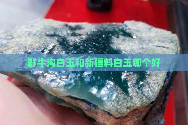 野牛沟白玉和新疆料白玉哪个好