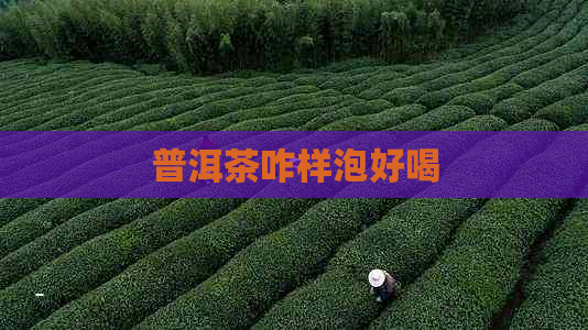 普洱茶咋样泡好喝