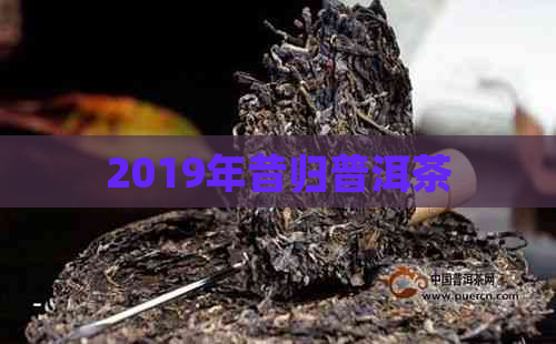 2019年昔归普洱茶