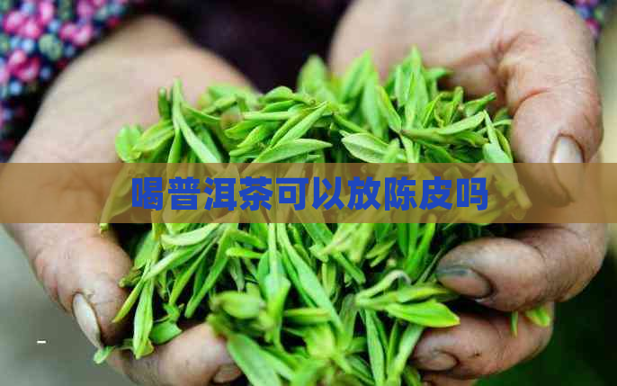 喝普洱茶可以放陈皮吗