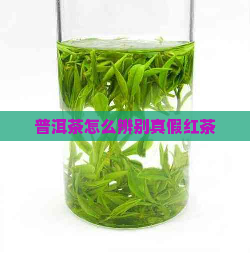 普洱茶怎么辨别真假红茶