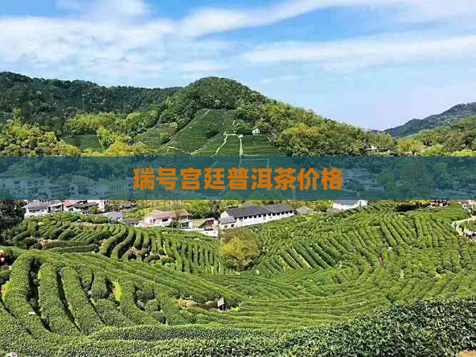 瑞号宫廷普洱茶价格