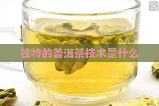 独特的普洱茶技术是什么