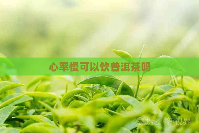 心率慢可以饮普洱茶吗