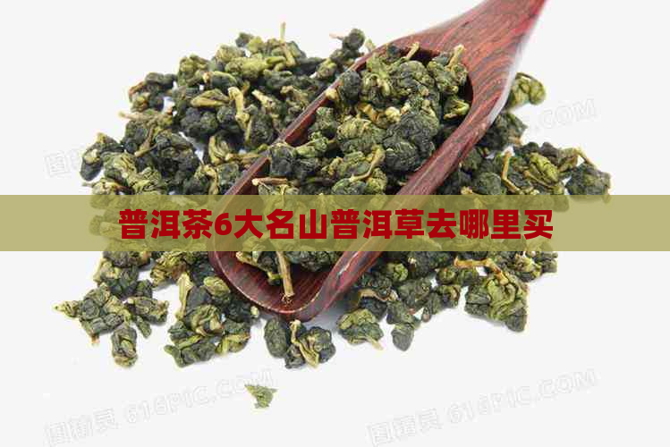 普洱茶6大名山普洱草去哪里买