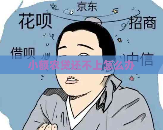 小额农贷还不上怎么办