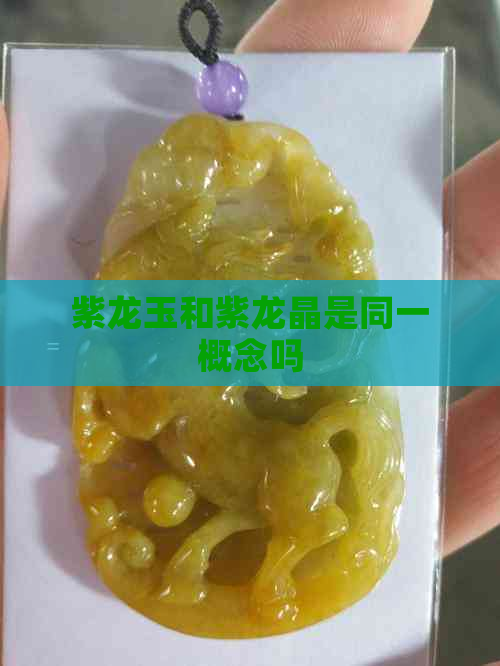 紫龙玉和紫龙晶是同一概念吗