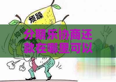 协商还款在哪里可以进行