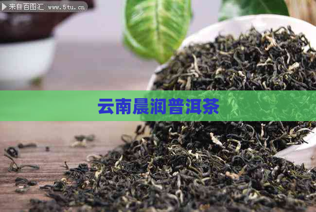 云南晨润普洱茶