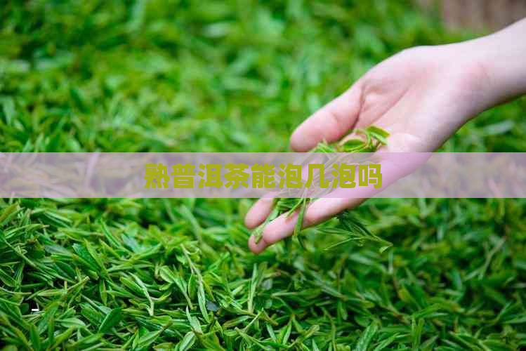 熟普洱茶能泡几泡吗