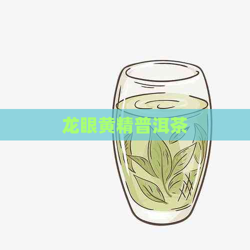 龙眼黄精普洱茶