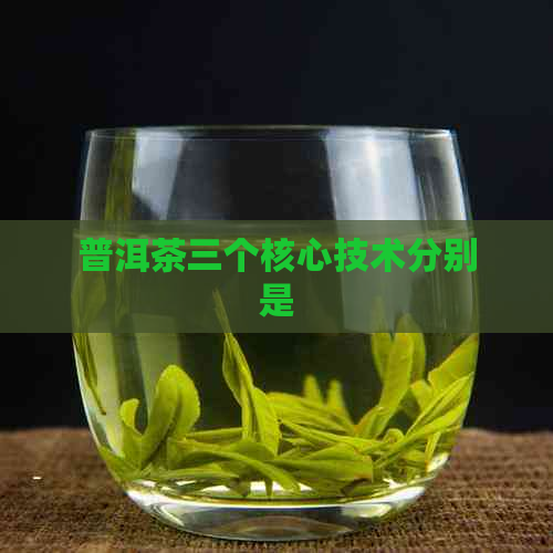 普洱茶三个核心技术分别是