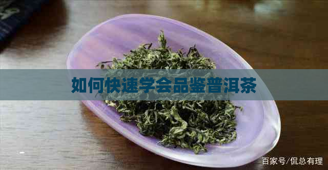 如何快速学会品鉴普洱茶