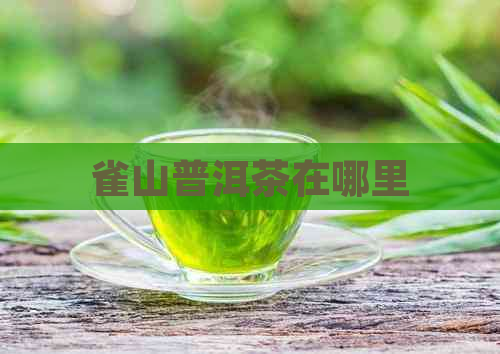 雀山普洱茶在哪里