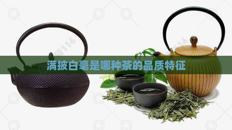 满披白毫是哪种茶的品质特征