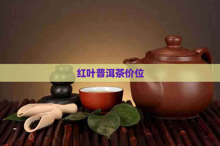 红叶普洱茶价位