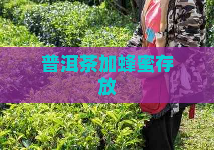 普洱茶加蜂蜜存放